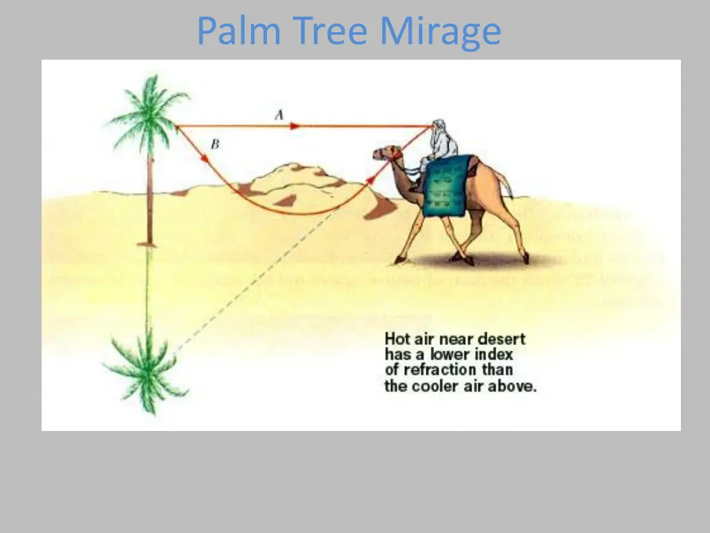 palm tree mirage