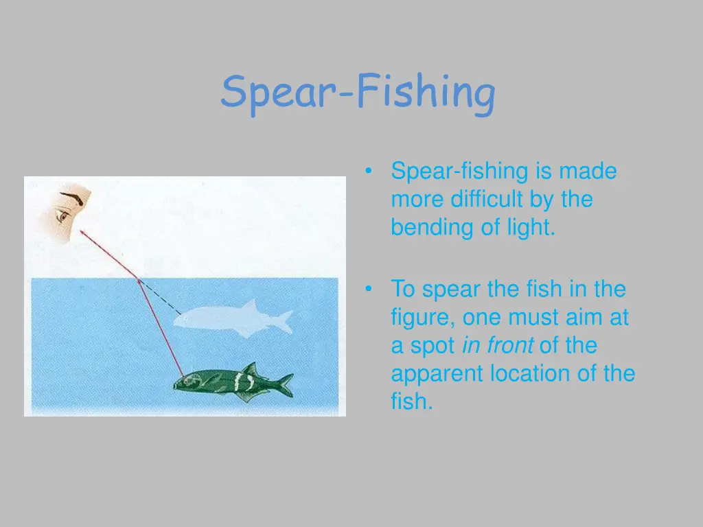 spear fishing