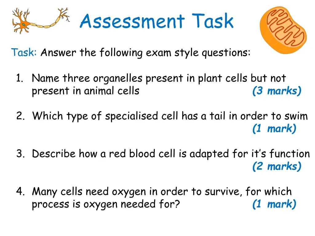 assessment task