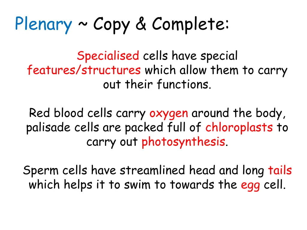 plenary copy complete