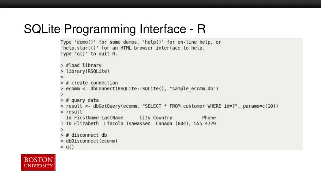 sqlite programming interface r