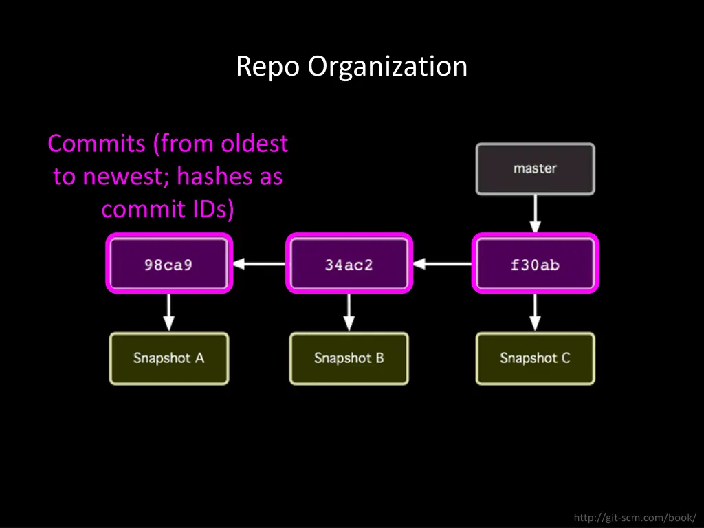 repo organization 1