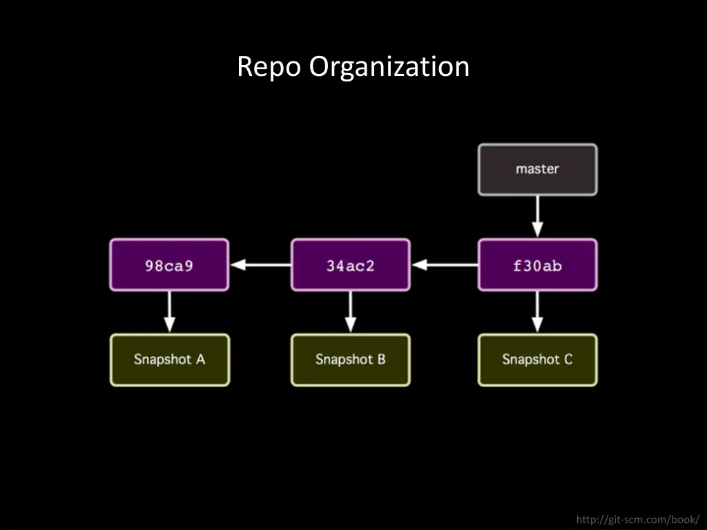 repo organization