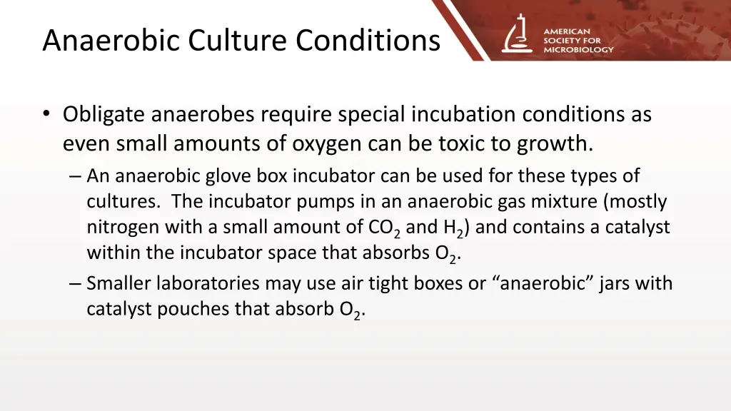 anaerobic culture conditions