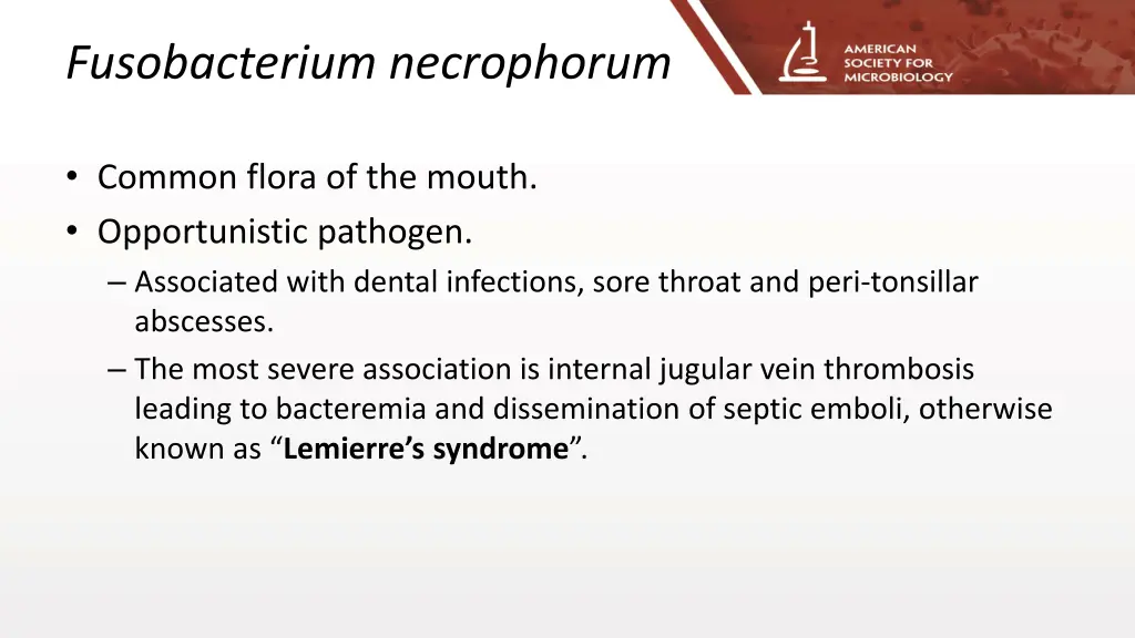 fusobacterium necrophorum