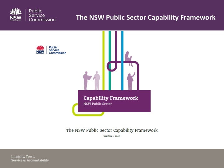 the nsw public sector capability framework