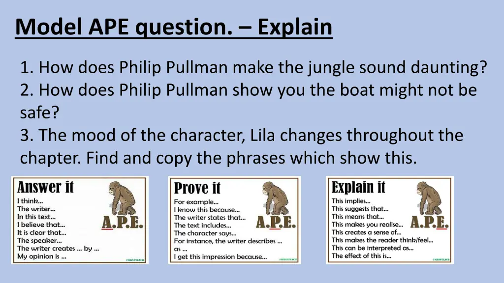 model ape question explain