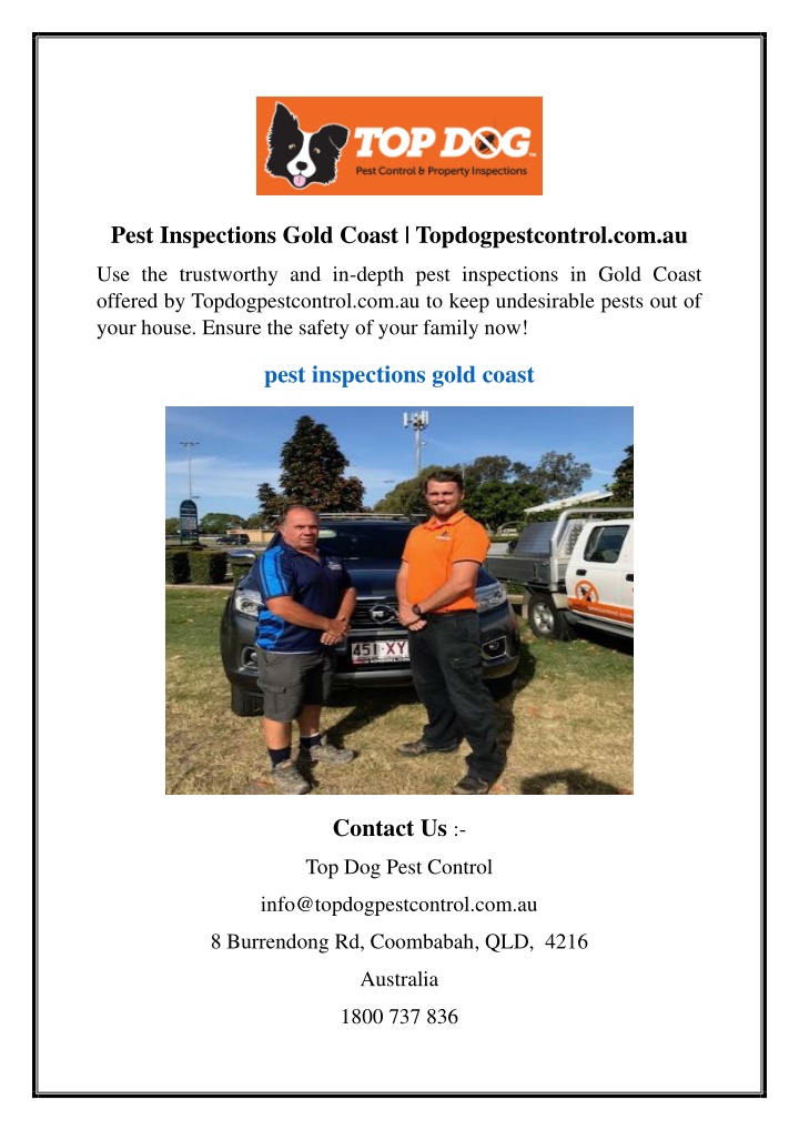 pest inspections gold coast topdogpestcontrol