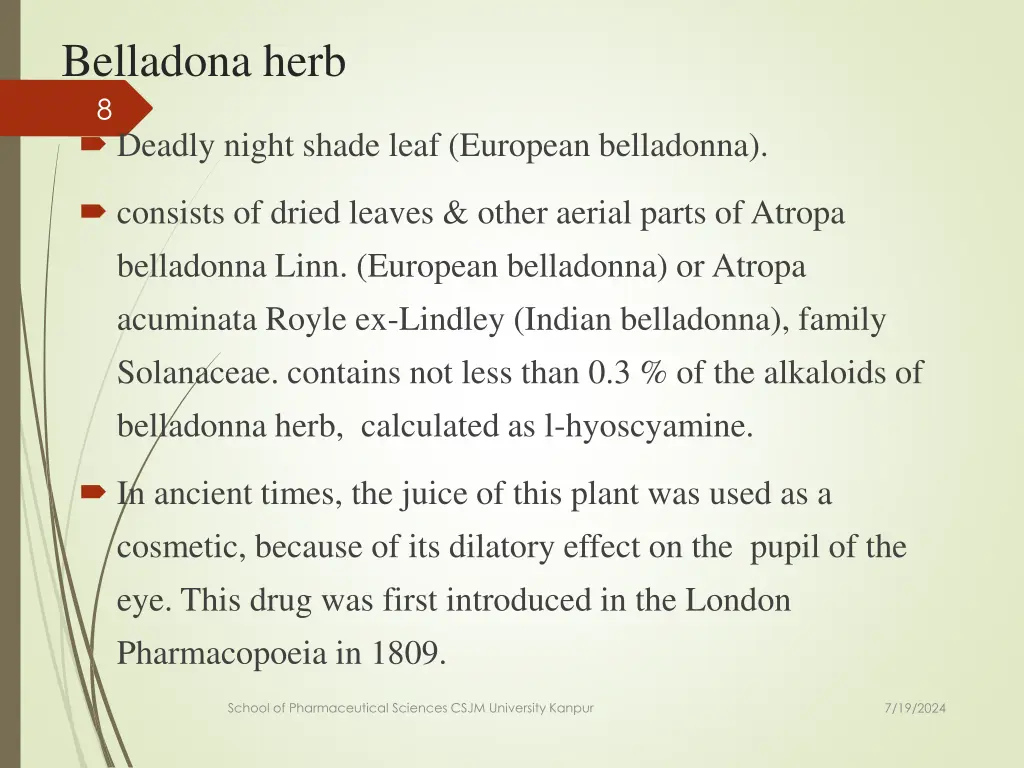 belladona herb 8