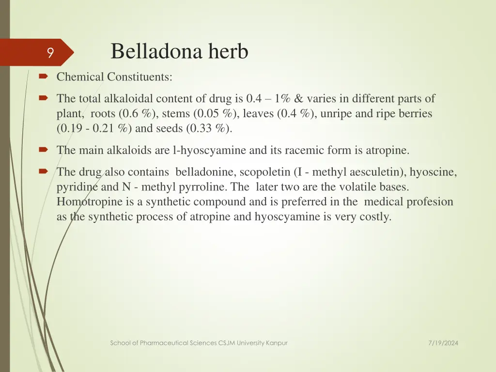 belladona herb