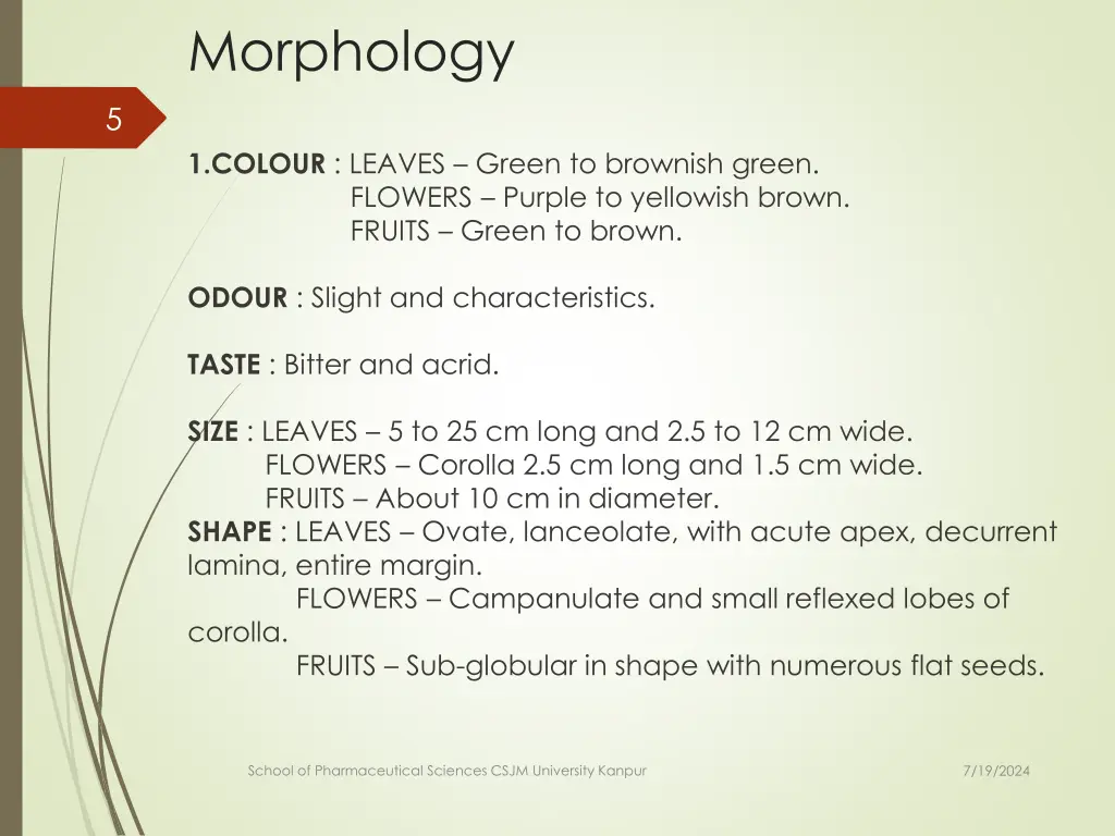 morphology