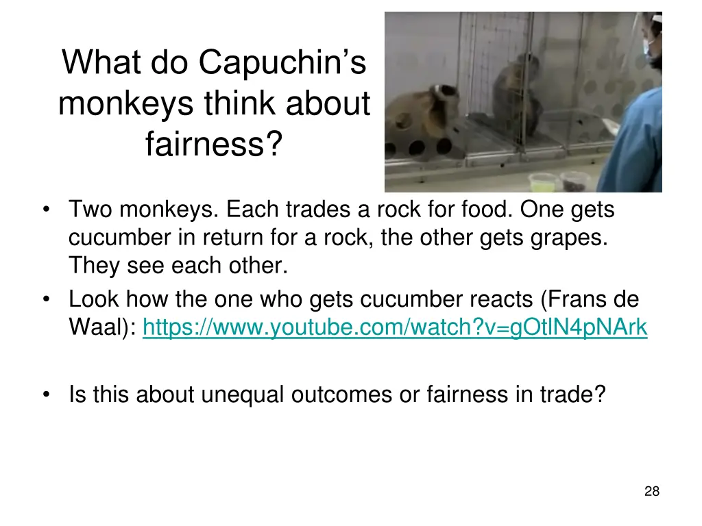 what do capuchin s monkeys think about fairness