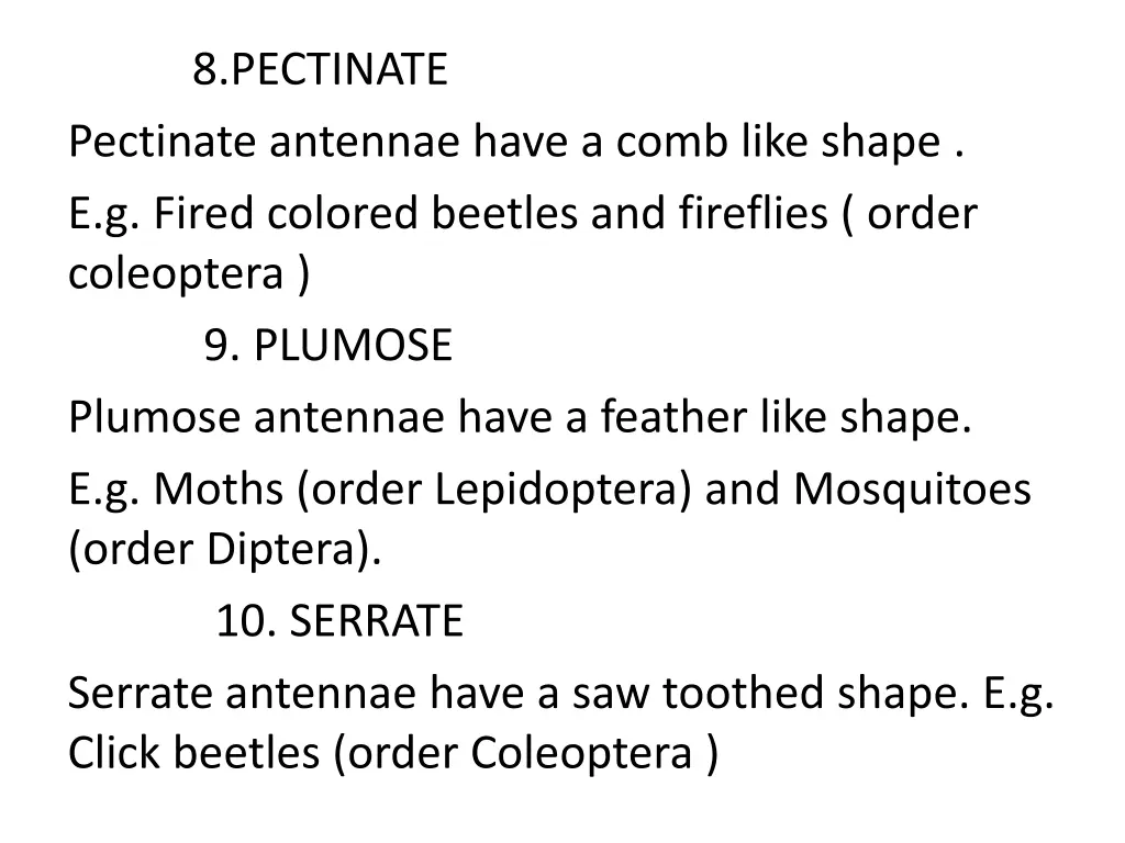 8 pectinate pectinate antennae have a comb like