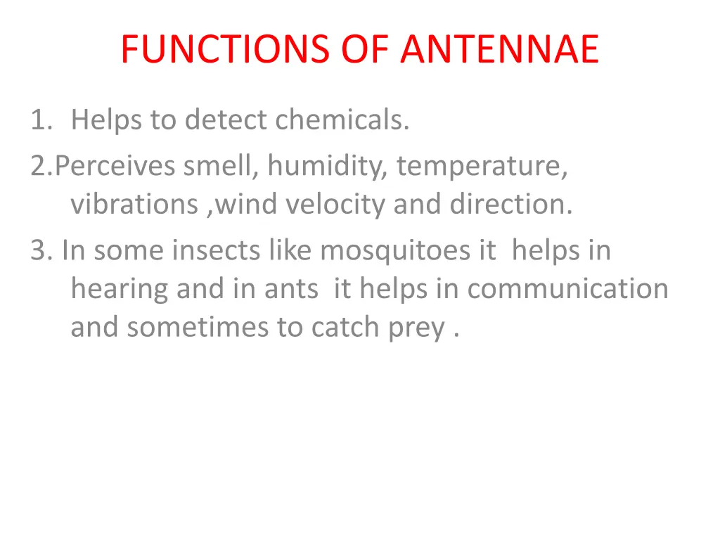 functions of antennae