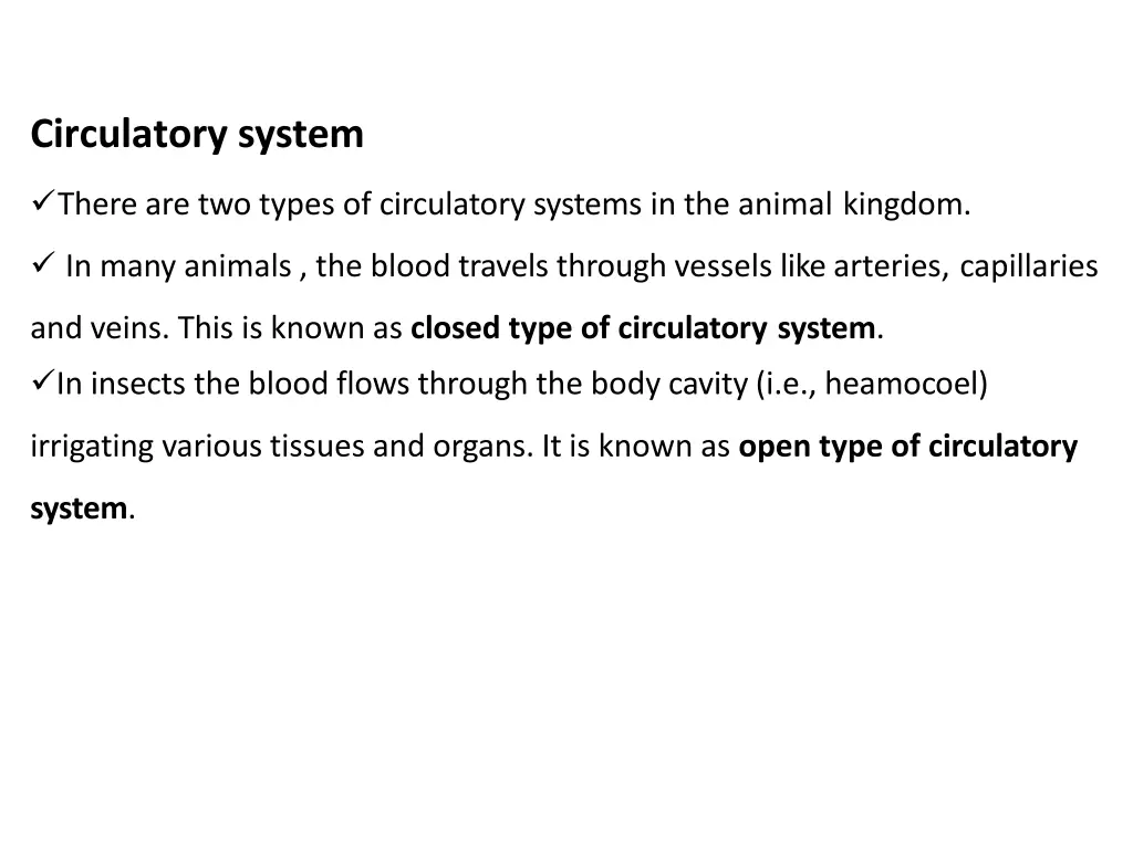 circulatory system