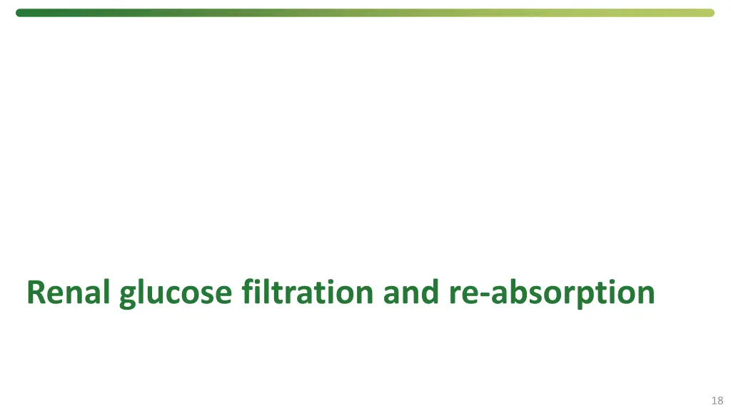 renal glucose filtration and re absorption