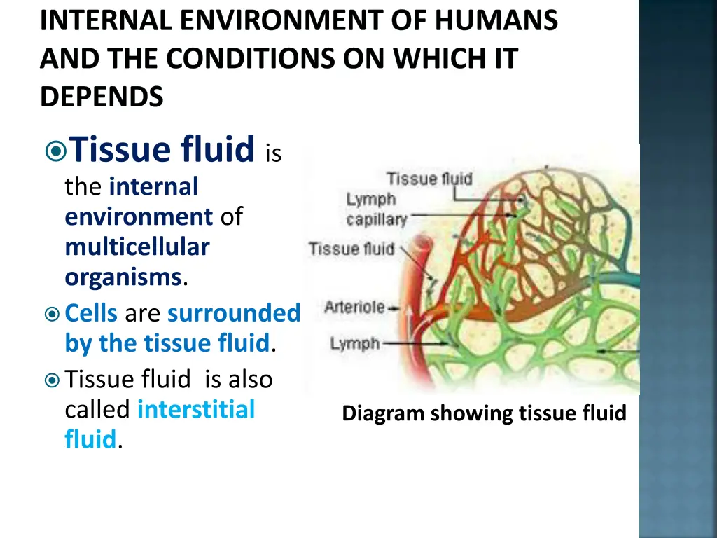 internal environment of humans and the conditions