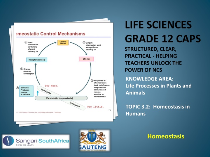 life sciences grade 12 caps structured clear