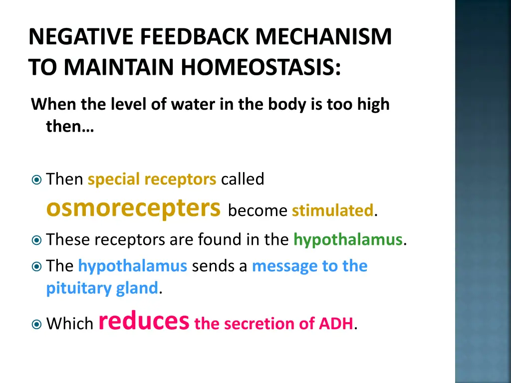 negative feedback mechanism to maintain 13