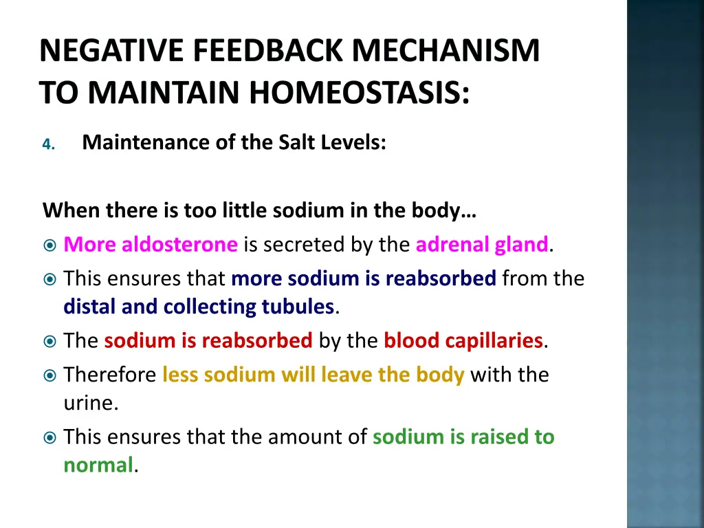 negative feedback mechanism to maintain 17