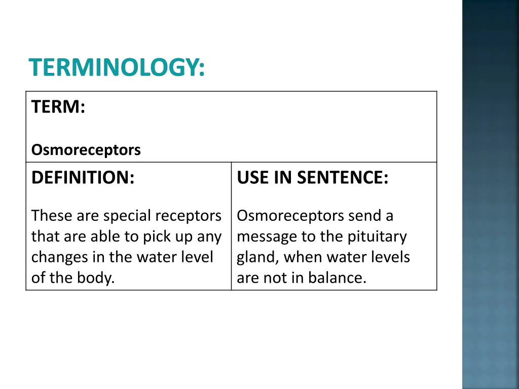 terminology 2