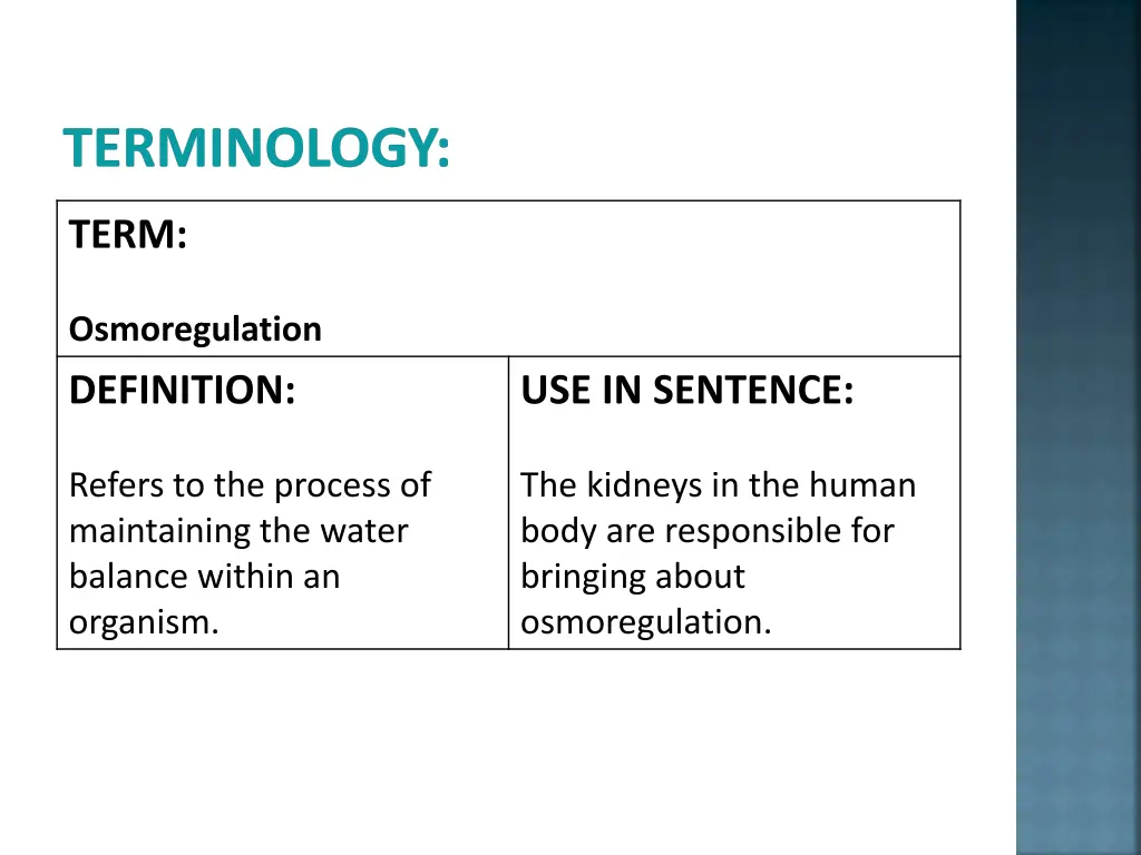 terminology 3