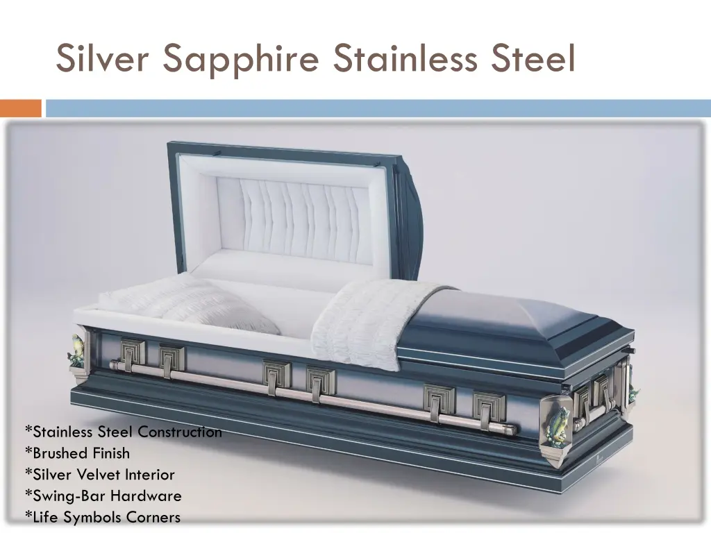 silver sapphire stainless steel