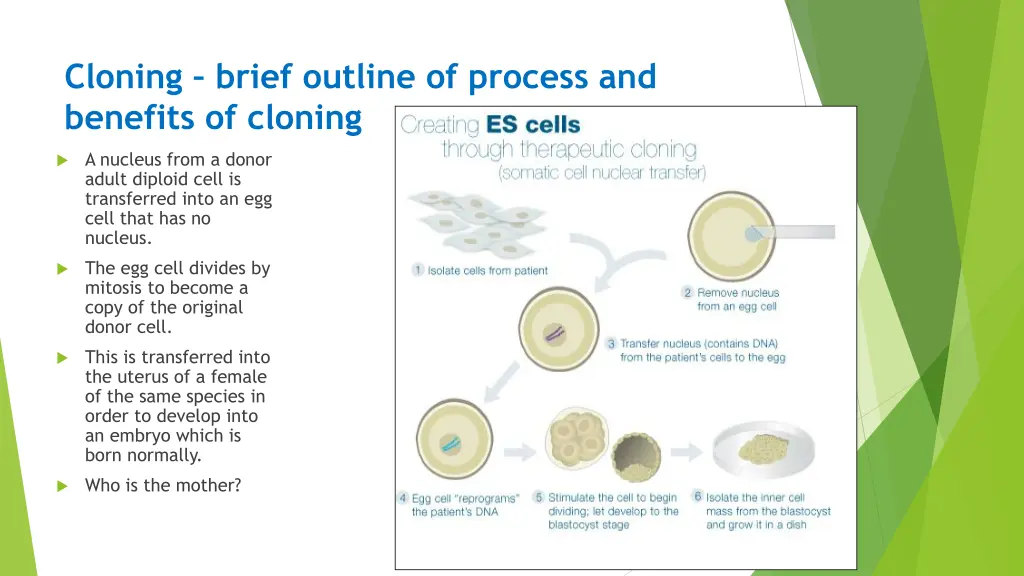 cloning brief outline of process and benefits