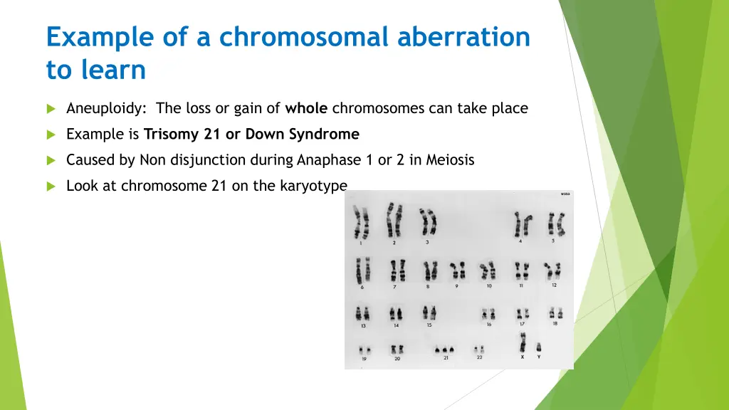 example of a chromosomal aberration to learn