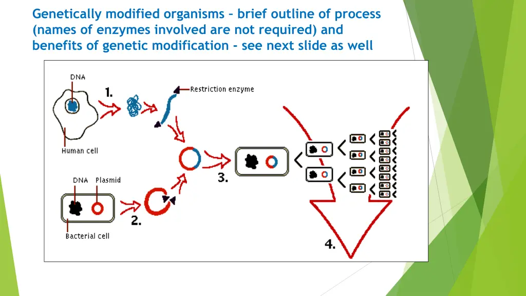 genetically modified organisms brief outline