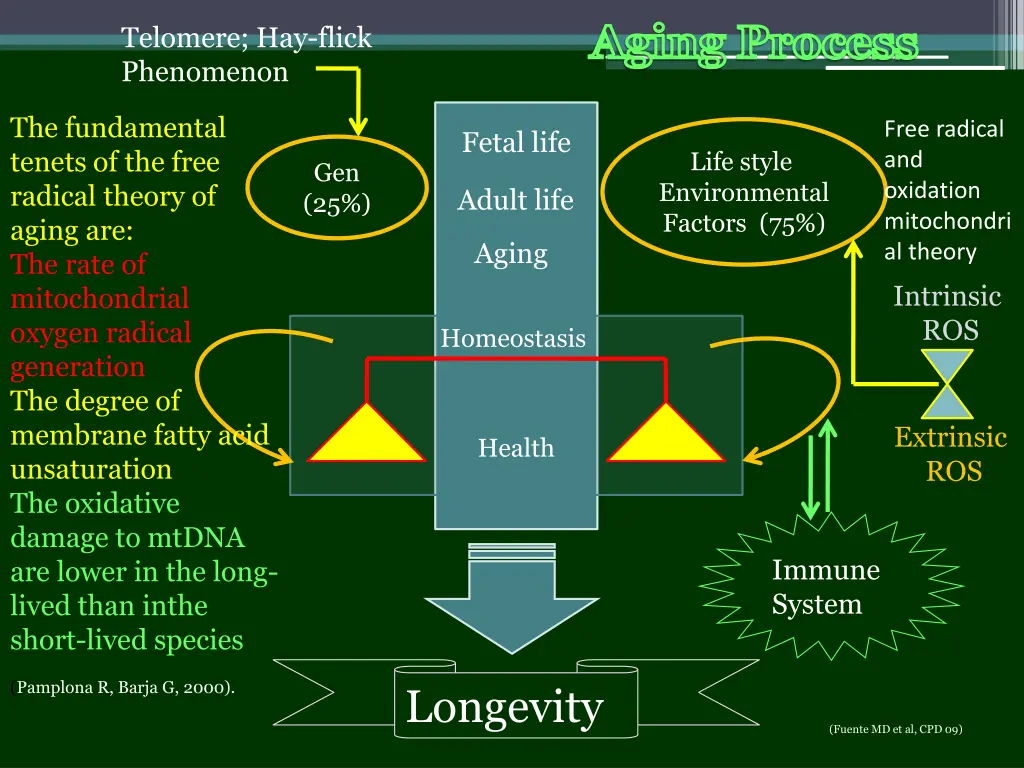 aging process