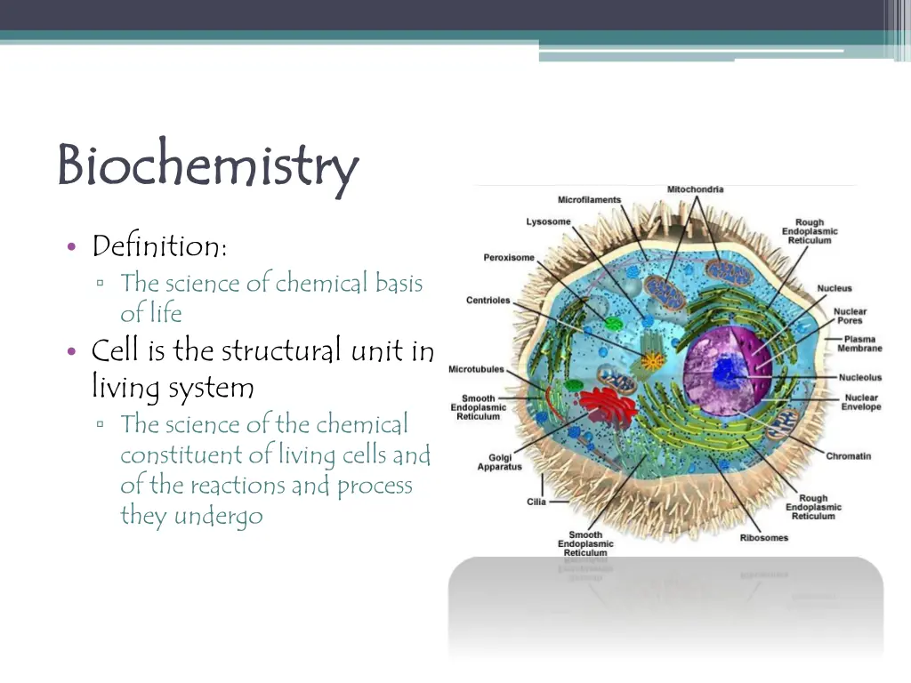 biochemistry biochemistry