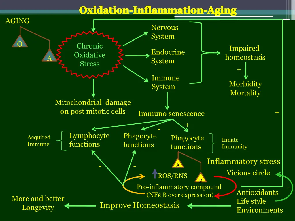 oxidation inflammation aging