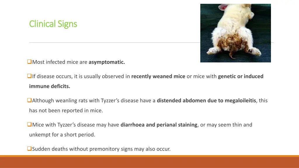 clinical signs clinical signs