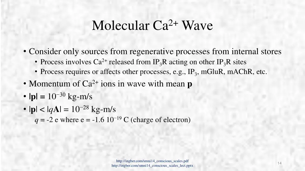 molecular ca 2 wave