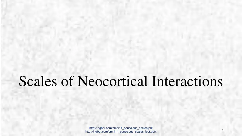 scales of neocortical interactions