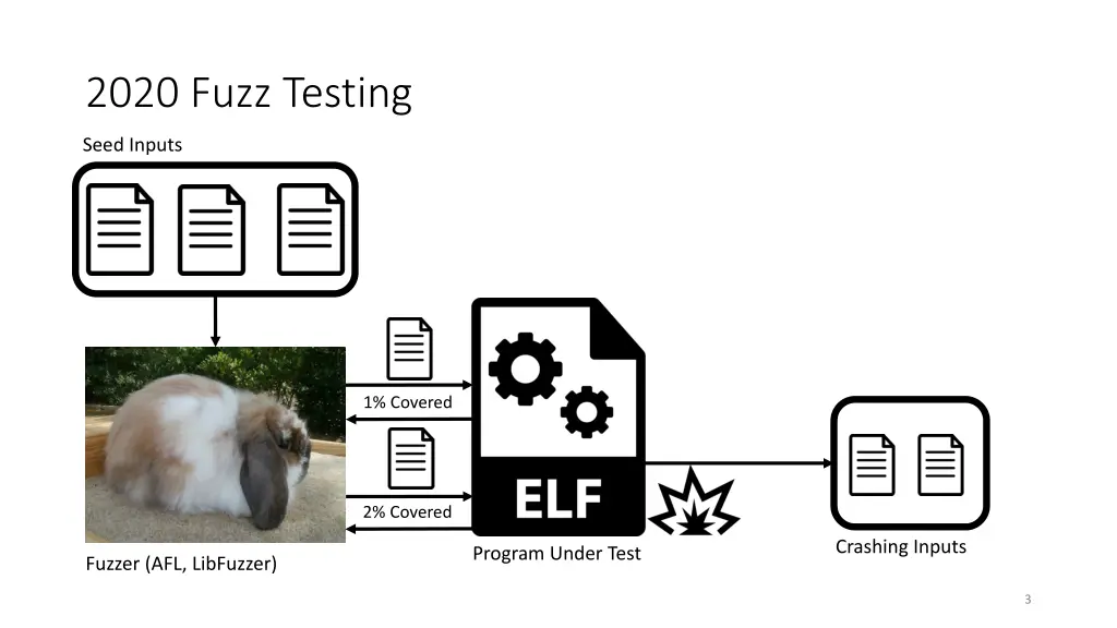 2020 fuzz testing