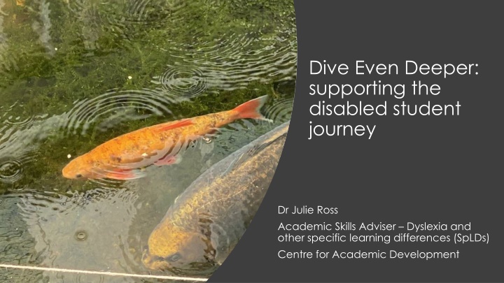 dive even deeper supporting the disabled student