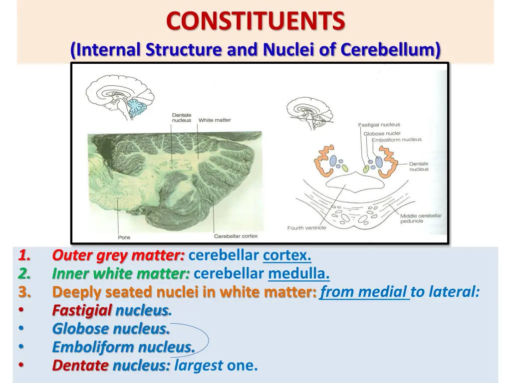 constituents internal structure and nuclei