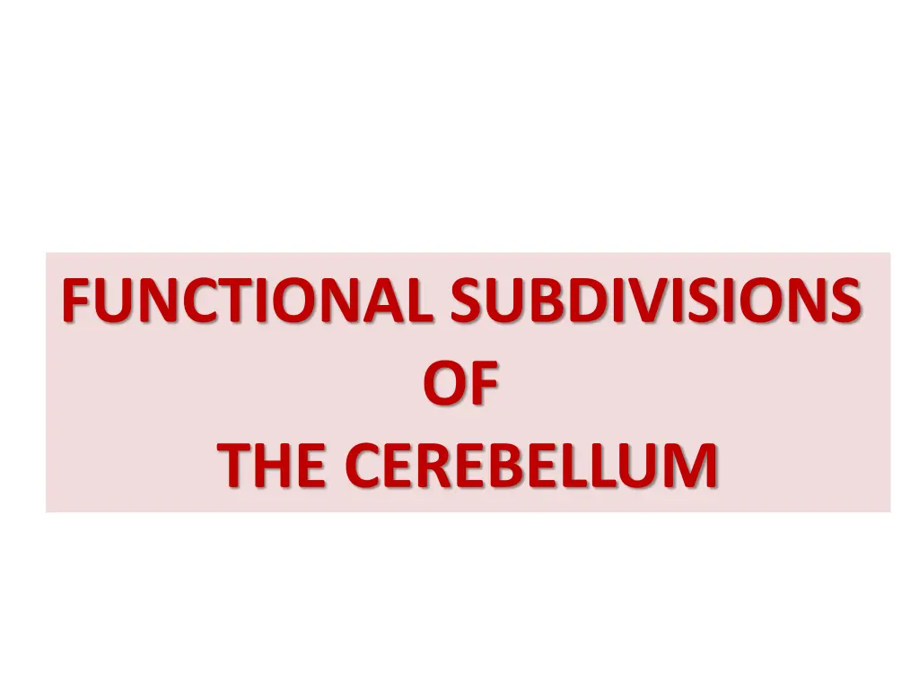 functional subdivisions of the cerebellum