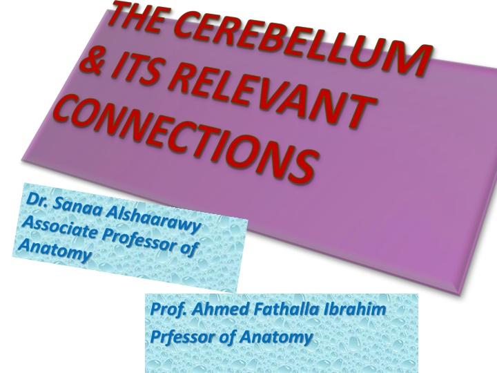 prof ahmed fathalla ibrahim prfessor of anatomy