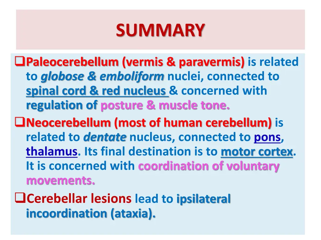 summary 1