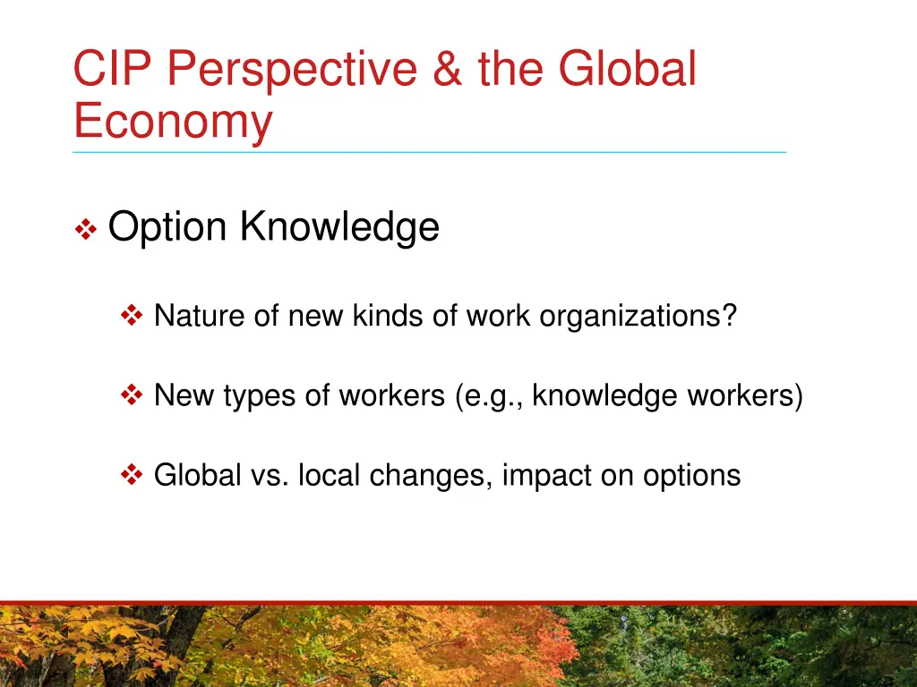 cip perspective the global economy