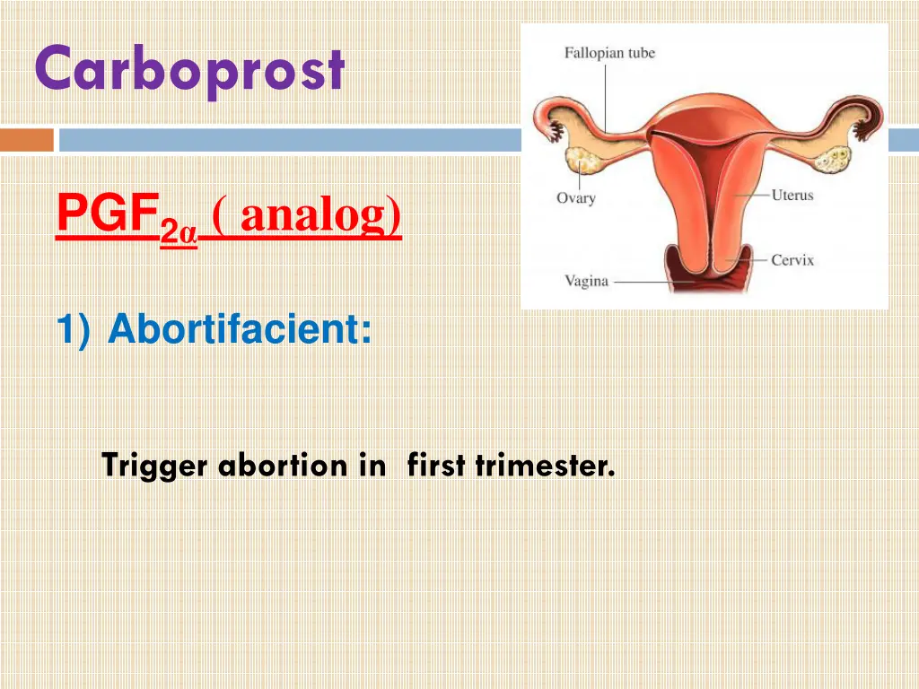 carboprost