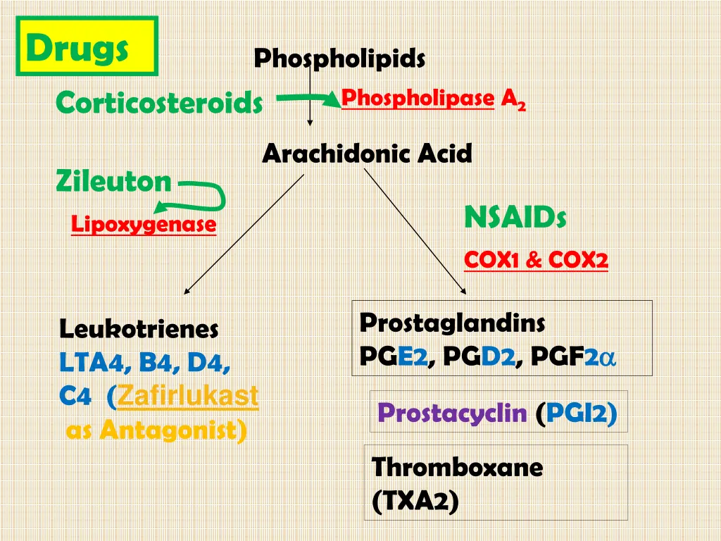 drugs corticosteroids