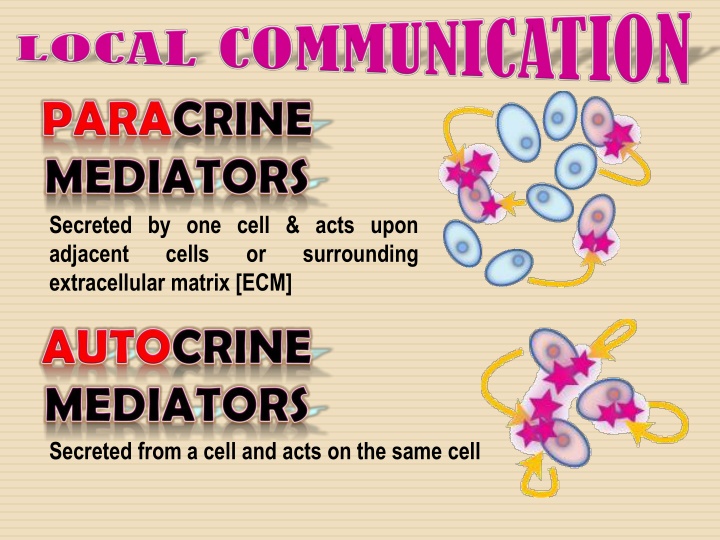 secreted by one cell acts upon adjacent cells