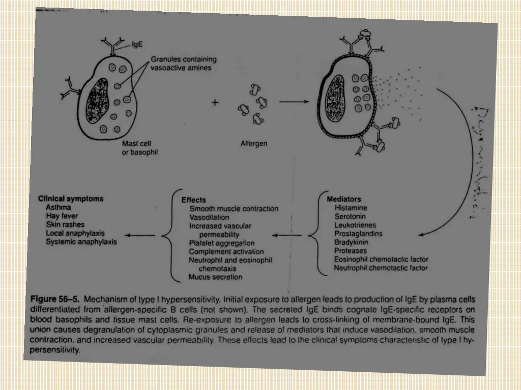 slide7