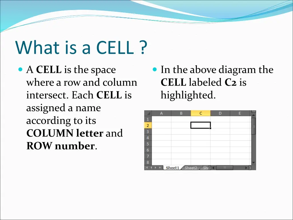 what is a cell