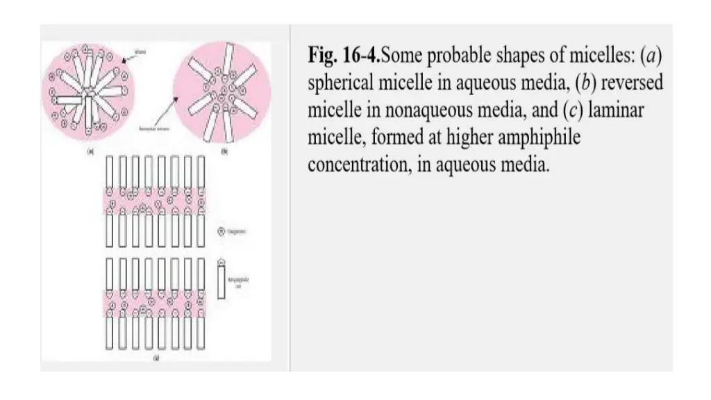 slide19