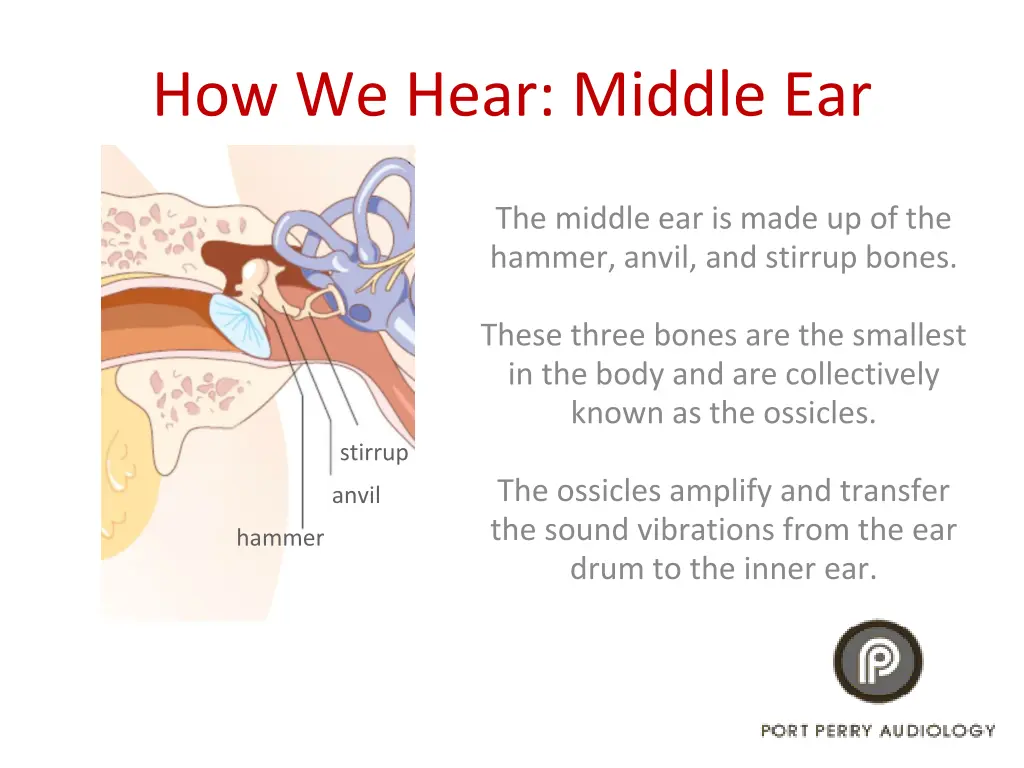 how we hear middle ear